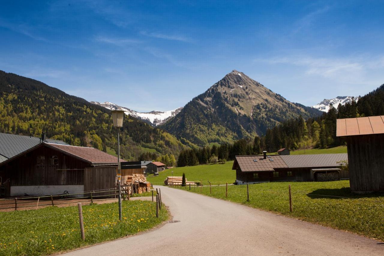 Ferienwohnung Ferienbauernhof Kohler Schoppernau Exterior foto